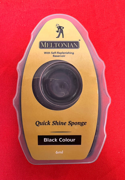 Quick Shine Sponge with Self-Replenishing Reservoir