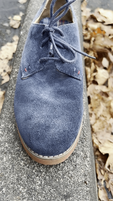 Water and Stain Protector