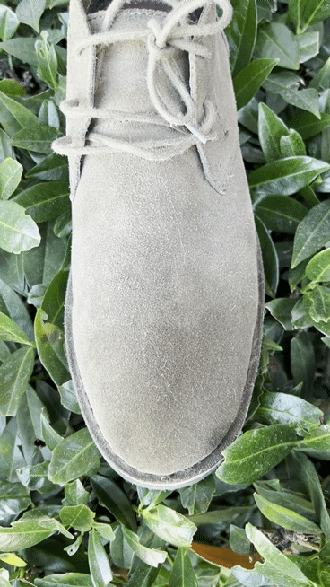 Water and Stain Protector