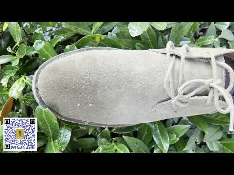 Water and Stain Protector